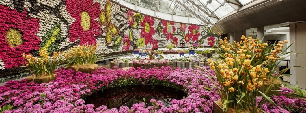 Top 10 Most Amazing Green Walls in the World — Vert Plantworks